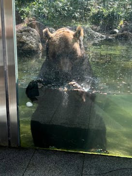 サホロリゾート　ベア･マウンテンに投稿された画像（2025/9/15）