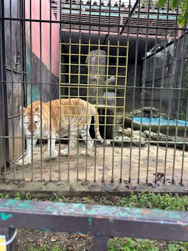 東北サファリパークに投稿された画像（2025/9/15）