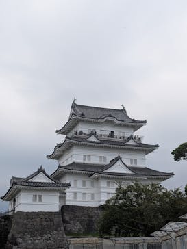 小田原城に投稿された画像（2025/9/15）