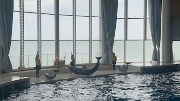 アクアワールド茨城県大洗水族館に投稿された画像（2025/9/15）