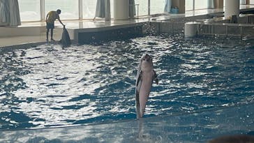 アクアワールド茨城県大洗水族館に投稿された画像（2025/9/15）