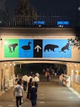 天王寺動物園に投稿された画像（2025/9/15）