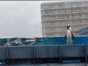 サンシャイン水族館に投稿された画像（2025/9/15）