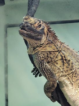 サンシャイン水族館に投稿された画像（2025/9/15）