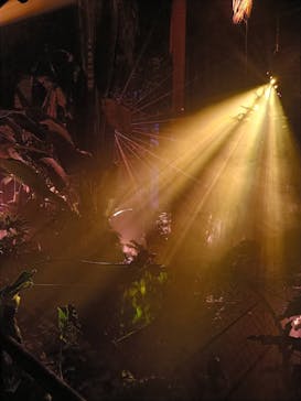 京都府立植物園　LIGHT CYCLES KYOTOに投稿された画像（2025/9/15）