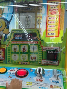 湘南あそびマーレに投稿された画像（2025/9/15）