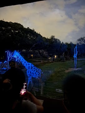 天王寺動物園に投稿された画像（2025/9/15）