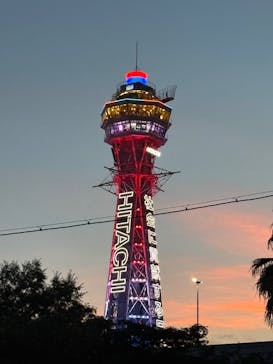 天王寺動物園に投稿された画像（2025/9/15）