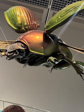 特別展 『昆虫 MANIAC』に投稿された画像（2025/9/15）