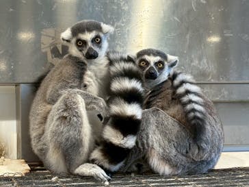 アニタッチみなとみらいに投稿された画像（2025/9/15）