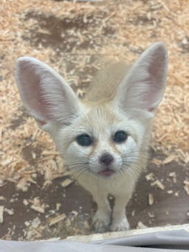 アニタッチみなとみらいに投稿された画像（2025/9/15）