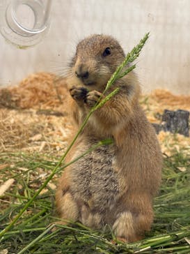 アニタッチみなとみらいに投稿された画像（2025/9/15）