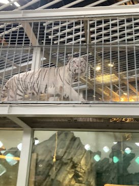 NIFREL（ニフレル）に投稿された画像（2025/9/15）