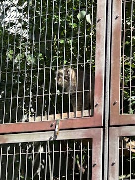 名古屋市東山動植物園に投稿された画像（2025/9/15）