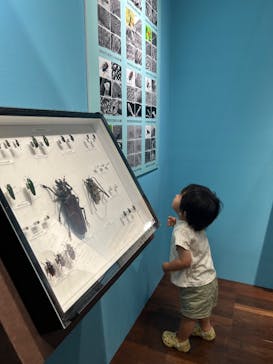 特別展 『昆虫 MANIAC』に投稿された画像（2025/9/15）