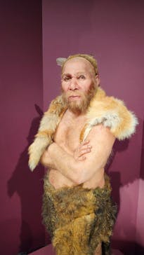 特別展「氷河期展 〜人類が見た4万年前の世界〜」（国立科学博物館）に投稿された画像（2025/9/15）