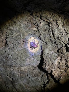 アクアワールド茨城県大洗水族館に投稿された画像（2025/9/15）