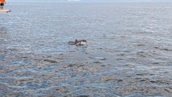 口之津観光船企業組合に投稿された画像（2025/9/15）