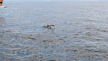 口之津観光船企業組合に投稿された画像（2025/9/15）