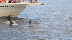 口之津観光船企業組合に投稿された画像（2025/9/15）