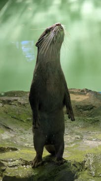 しながわ水族館に投稿された画像（2025/9/15）