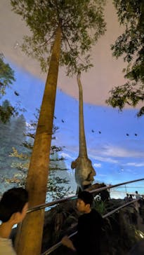 福井県立恐竜博物館に投稿された画像（2025/9/15）