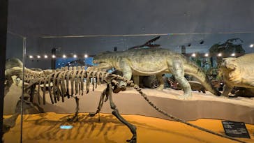 福井県立恐竜博物館に投稿された画像（2025/9/15）