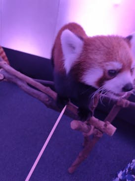 横浜・八景島シーパラダイスに投稿された画像（2025/9/15）