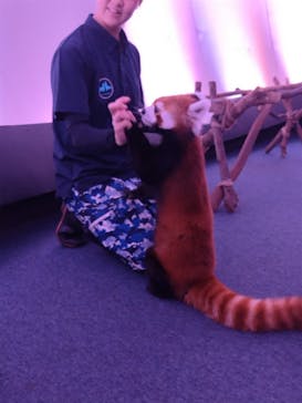 横浜・八景島シーパラダイスに投稿された画像（2025/9/15）