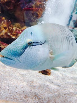 NIFREL（ニフレル）に投稿された画像（2025/9/15）