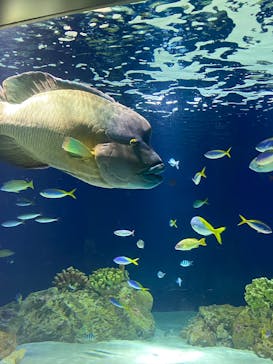 マリンワールド海の中道に投稿された画像（2025/9/15）