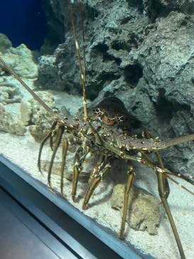 マリンワールド海の中道に投稿された画像（2025/9/15）