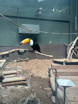 カワスイ 川崎⽔族館に投稿された画像（2025/9/15）