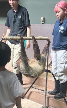 カワスイ 川崎⽔族館に投稿された画像（2025/9/15）