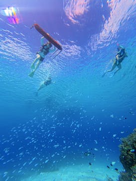 Acoustic Life（アコースティックライフ）に投稿された画像（2025/9/15）