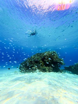 Acoustic Life（アコースティックライフ）に投稿された画像（2025/9/15）