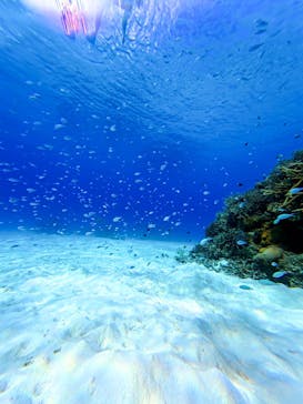 Acoustic Life（アコースティックライフ）に投稿された画像（2025/9/15）