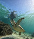 宮古島 ADVENTURE PiPi（ミヤコジマ アドベンチャー ピピ）に投稿された画像（2025/9/15）