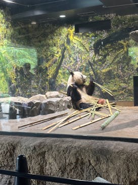 恩賜上野動物園に投稿された画像（2025/9/15）