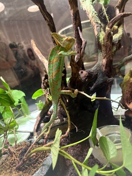 NIFREL（ニフレル）に投稿された画像（2025/9/15）