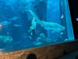 マリンワールド海の中道に投稿された画像（2025/9/15）