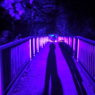 ニジゲンノモリに投稿された画像（2025/9/15）