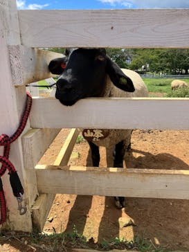 牧歌の里に投稿された画像（2025/9/15）