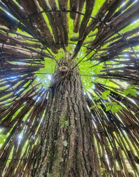 軽井沢おもちゃ王国に投稿された画像（2025/9/15）