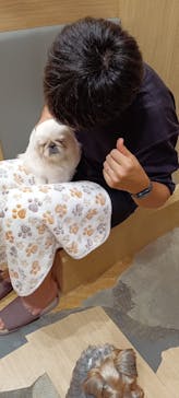 いぬカフェRio 浅草店に投稿された画像（2025/9/15）