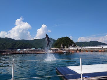 うみたま体験パーク 「つくみイルカ島」に投稿された画像（2025/9/15）