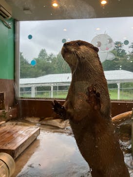 箱根園水族館に投稿された画像（2025/9/15）