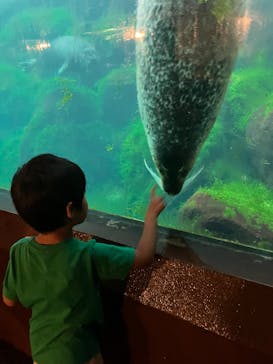 箱根園水族館に投稿された画像（2025/9/15）