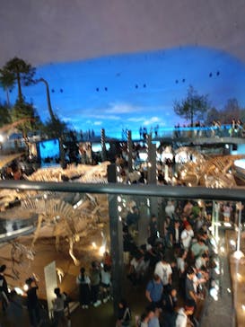 福井県立恐竜博物館に投稿された画像（2025/9/15）