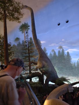 福井県立恐竜博物館に投稿された画像（2025/9/15）